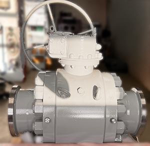 Ball Valve Grayloc